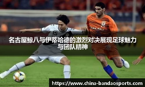 BOB半岛体育
